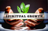 Grow and serve