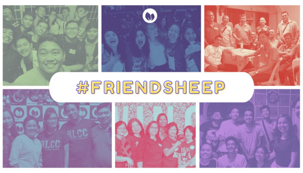 #Friendsheep POSTER_BUMPER