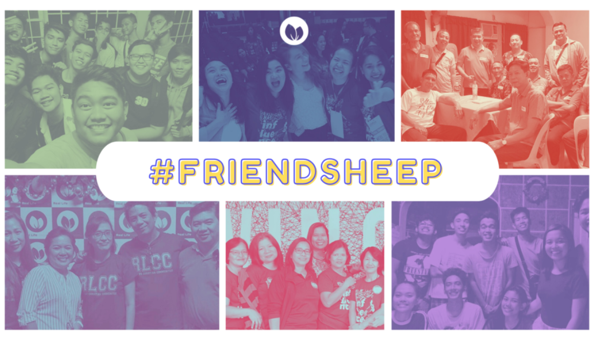 #Friendsheep POSTER_BUMPER
